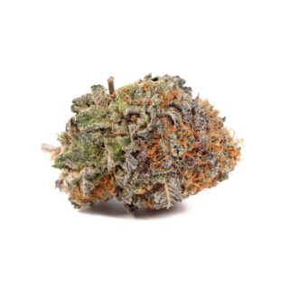 Buy Blueberry Strain Online