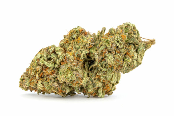 buy girl scout cookies online