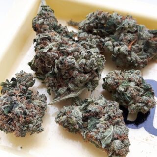 Buy Holy grail OG