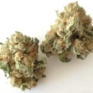 White Widow