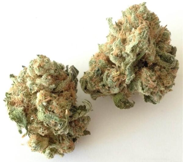 White Widow
