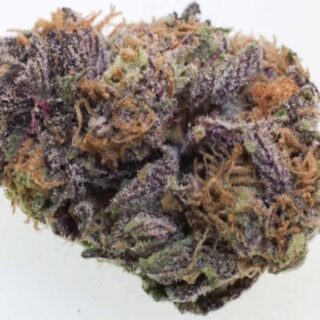 Grand Daddy Purple Kush
