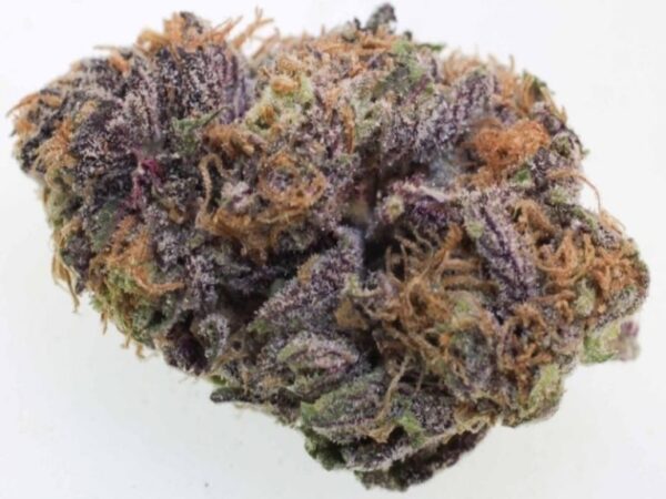 Grand Daddy Purple Kush