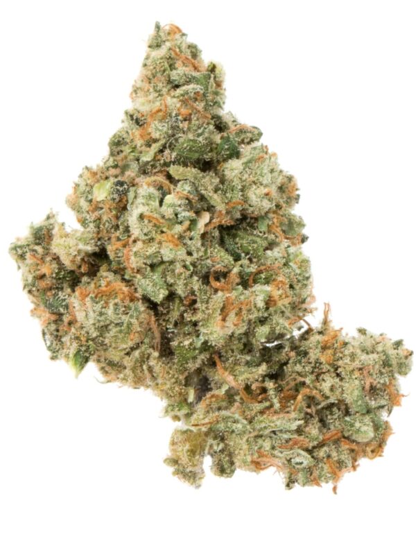 buy jack herer online