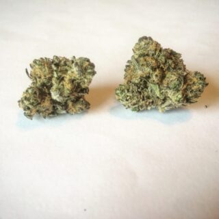 Buy juicy fruit online