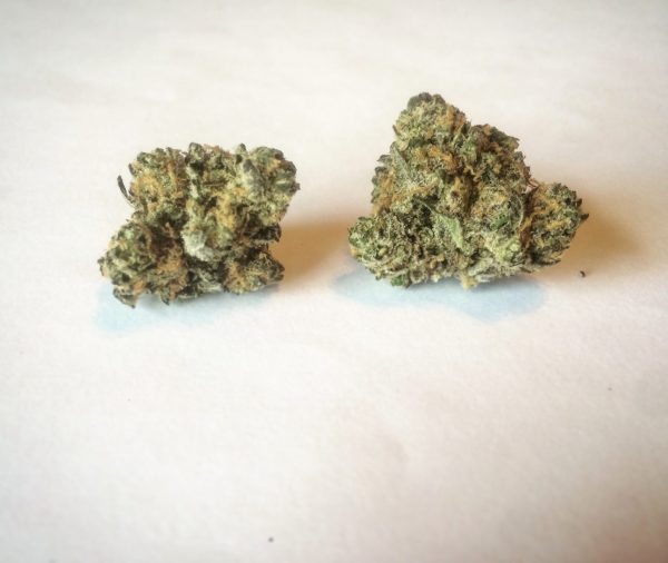 Buy juicy fruit online