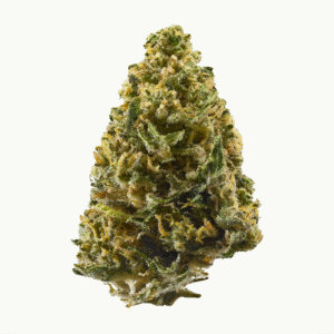 Buy Northern Lights Strains