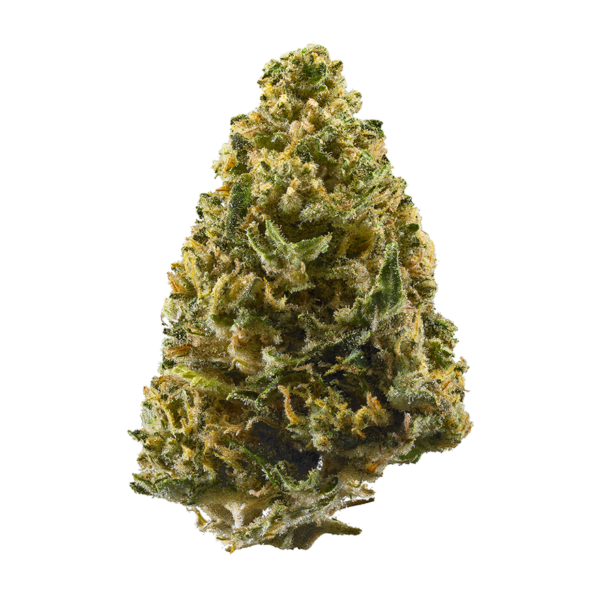 Buy Northern Lights Strains