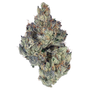 Buy White Runtz Strain Online