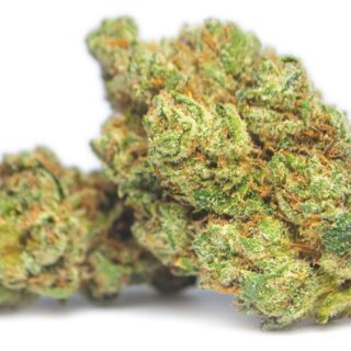 Jet Fuel
