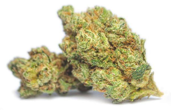 Jet Fuel