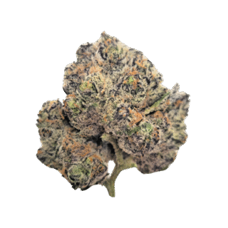 Buy Blue Rhino Strain Online