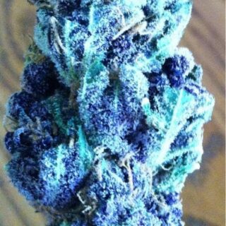 Blue Rhino Strain