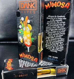 Mimosa