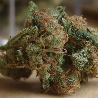 sour diesel