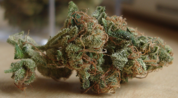 sour diesel
