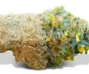 Buy Sun Rocks Online