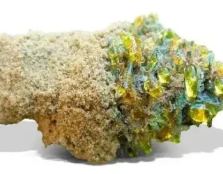Buy Sun Rocks Online