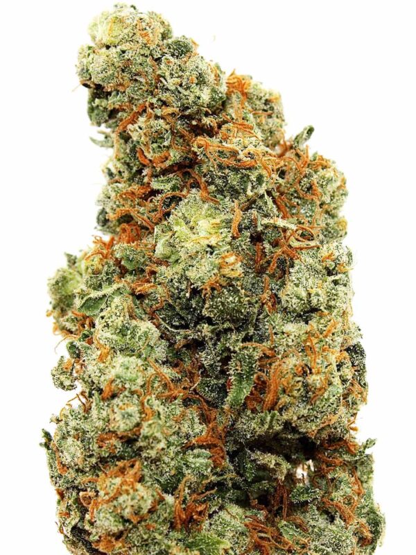 AK-47-3