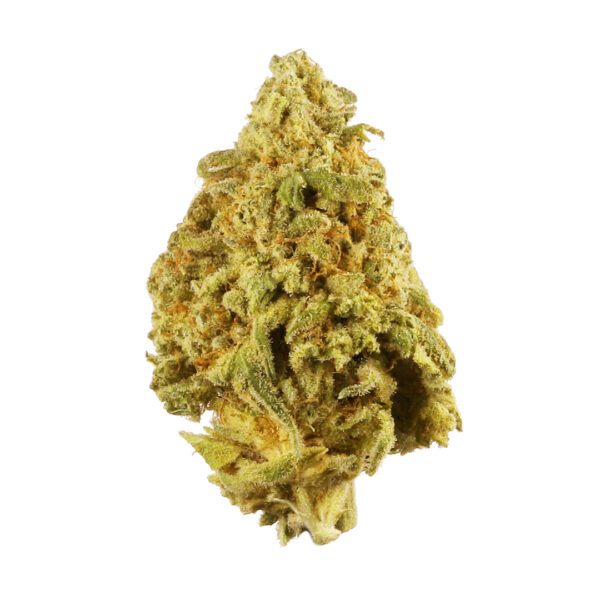 9 Pound Hammer Strain - Image 2