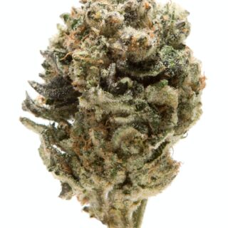 Animal Mints Strain