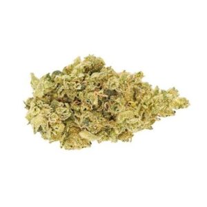 CBD Shark Weed Strain