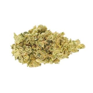 CBD Shark Weed Strain