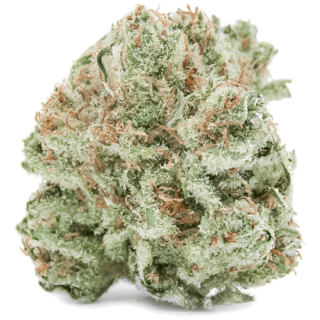 Cinex Strain Near Me