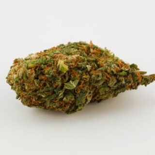 Confidential Cheese Strain