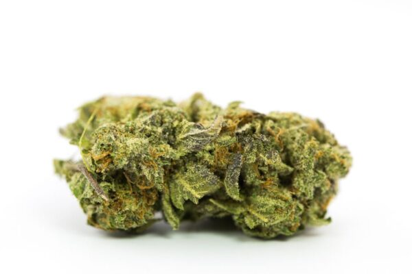 Grand Master Kush Strain