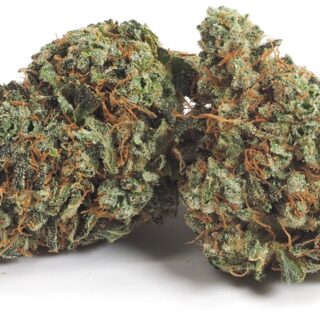 Orange Glue Strain