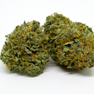 Orange Kush Strain