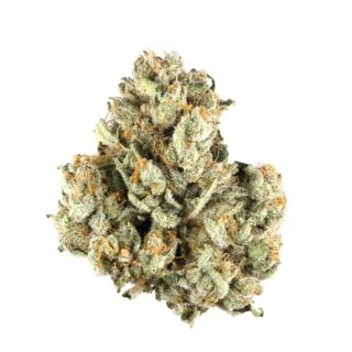 Cherry Wine Strain