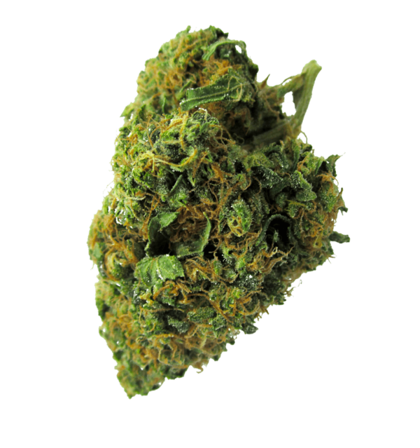 Swazi Gold Strain