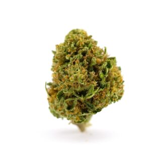 Buy Tangieland Strain Online