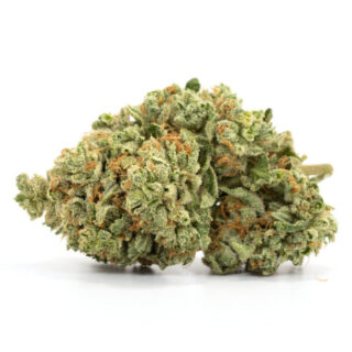 Violator Kush