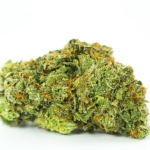 Dirty Girl Weed Strain