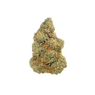 Buy Bacio Gelato Strain Online