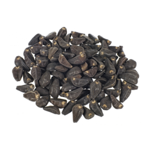 Morning Glory seeds