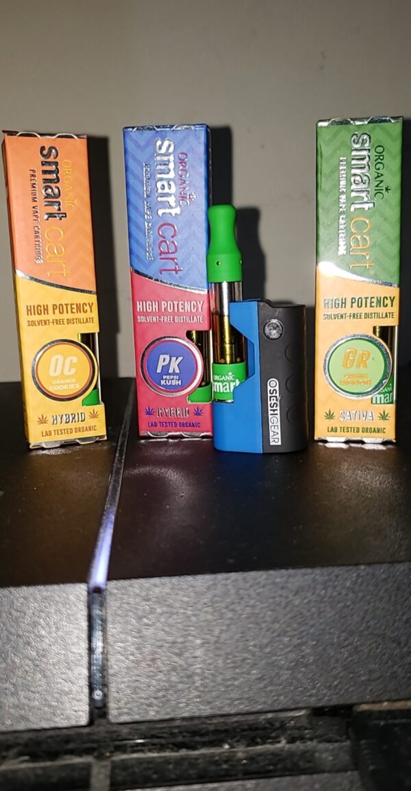 Smart Carts - Image 3