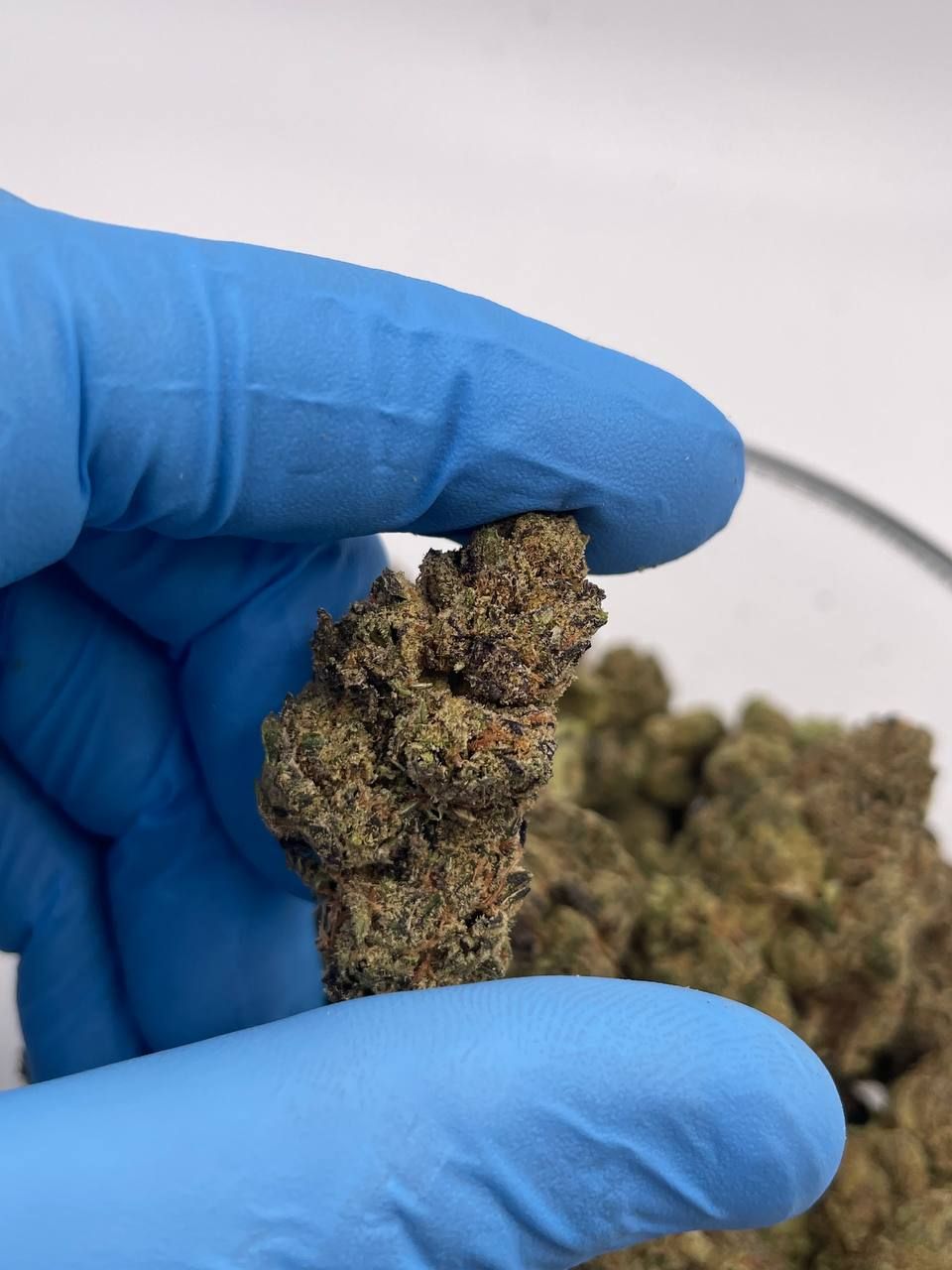 Order Animal Mints Strain Online / Buy animal mints strain near me