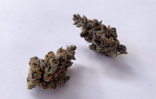 Tropicana Cookies Strain