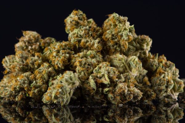 Zaza Weed Strain - Image 3