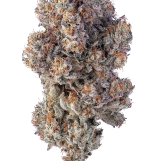 Buy Wiz Khalifa OG Online
