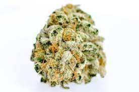 Garlic Cookies Strain