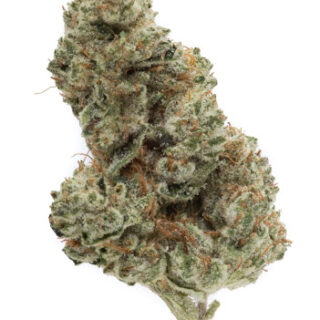 Motorbreath Strain
