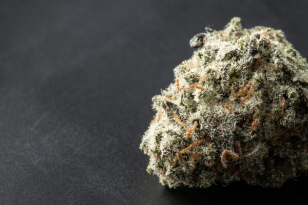 Gelato 33 Strain