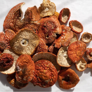 Amanita Muscaria Mushrooms