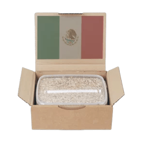 Mondo Grow Kit Mexican