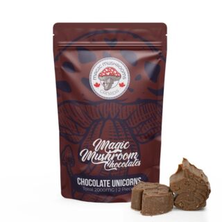 Magic Mushroom Chocolate